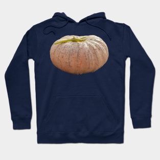 Pale Orange Pumpkin for Halloween Decoration Hoodie